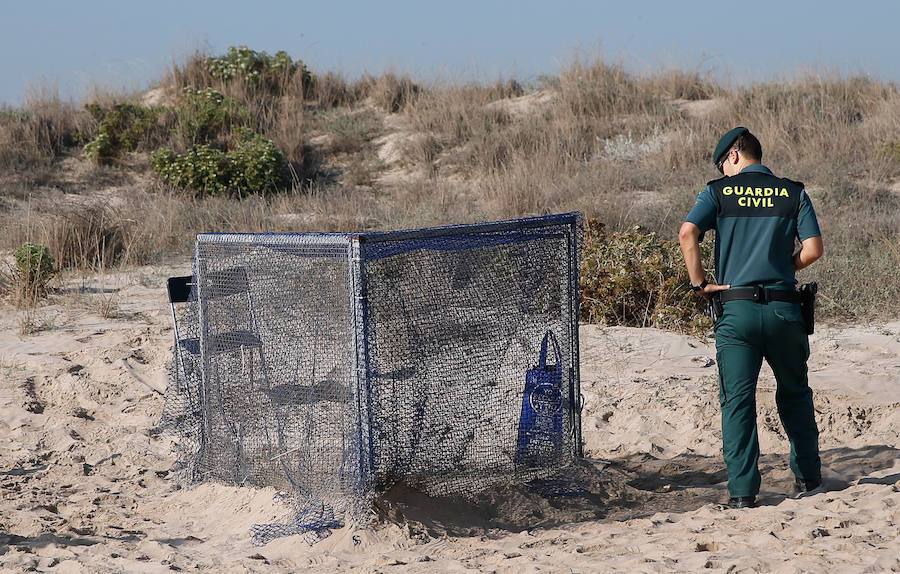 Fotos del nacimiento de las tortugas boba en Valencia