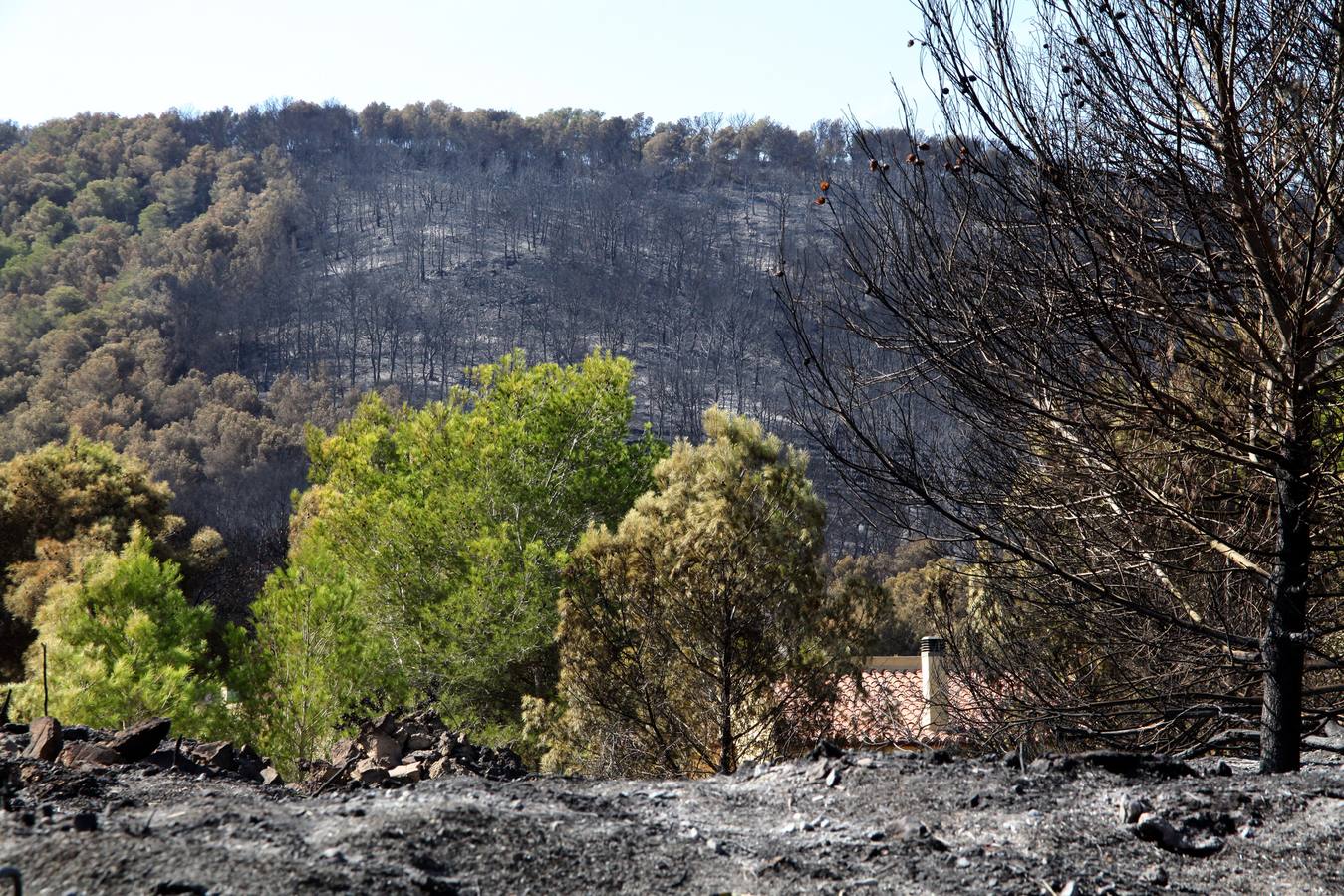 Fotos del incendio de la Granadella, en Xàbia y Benitatxell