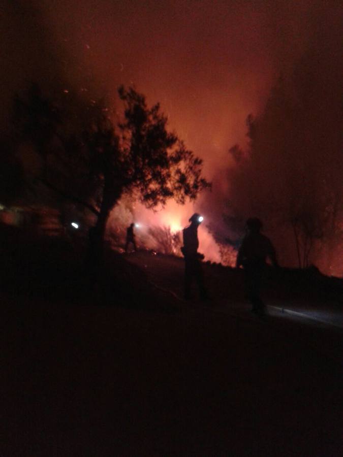 Fotos del incendio forestal en Bolulla