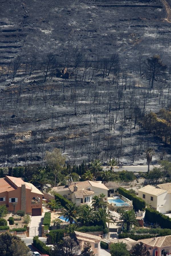 Fotos de la Granadella quemada en el incendio de Xàbia y Benitatxell