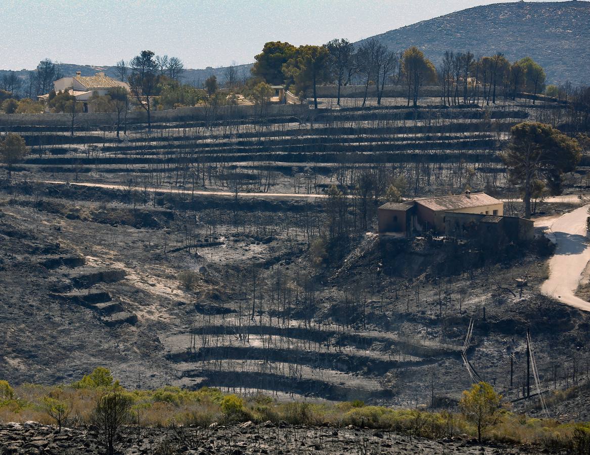 Fotos de la Granadella quemada en el incendio de Xàbia y Benitatxell