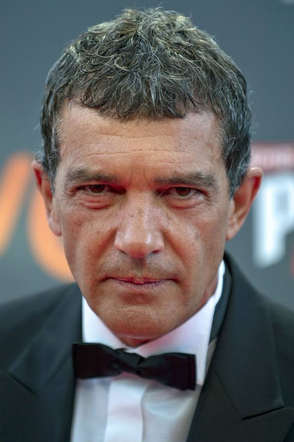 Fotos del actor Antonio Banderas