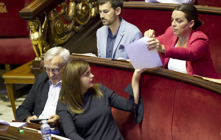 Fotos del pleno del Ayuntamiento