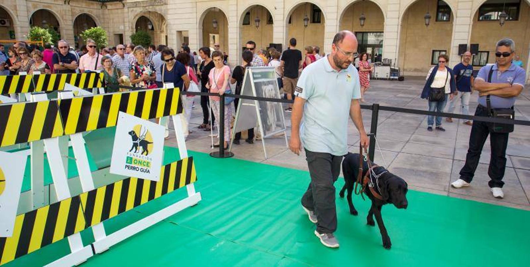 Exhibición de perros guía