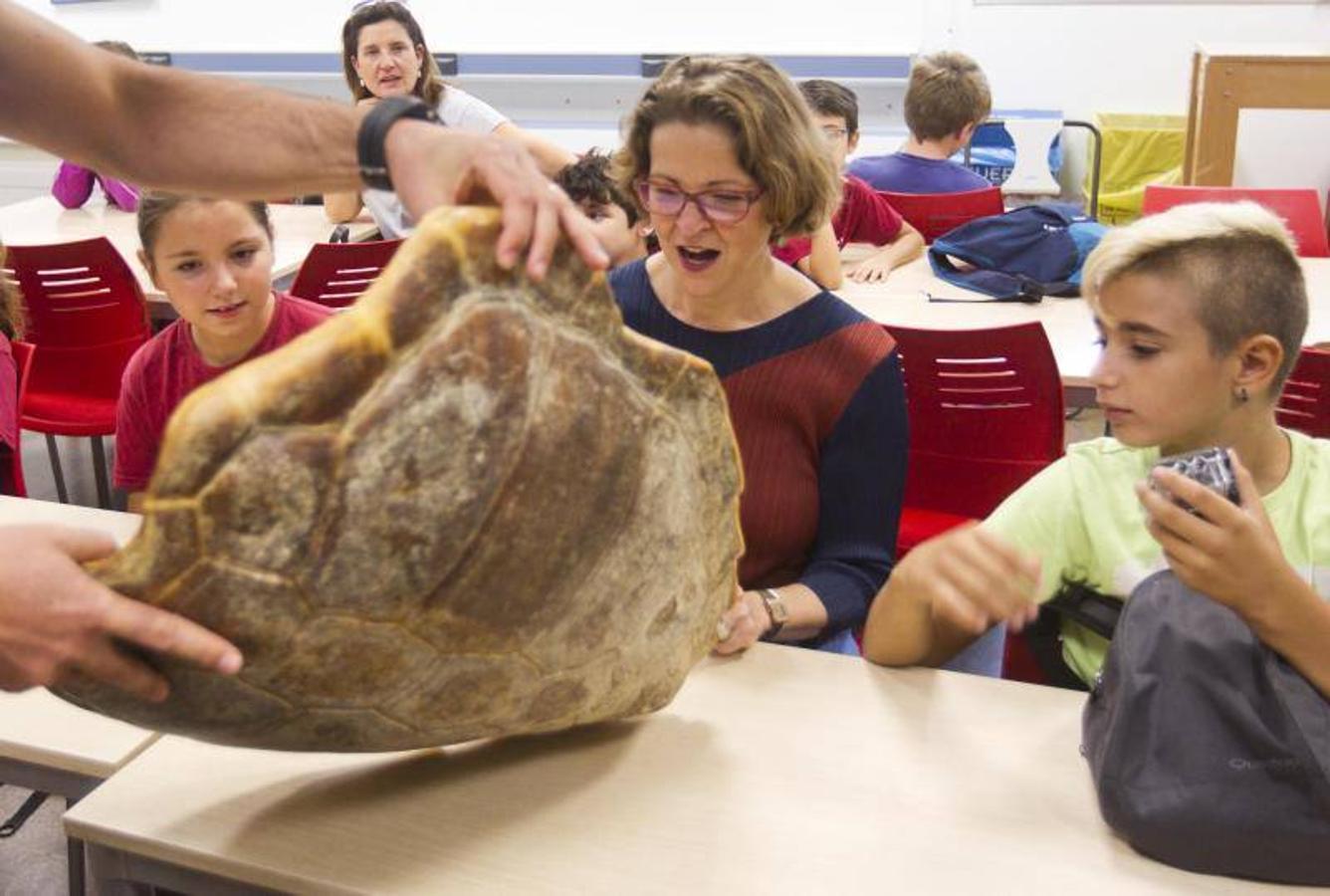 La Fundación Oceanogràfic nace para investigar y conservar el medio marino