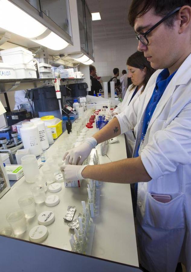 La Fundación Oceanogràfic nace para investigar y conservar el medio marino