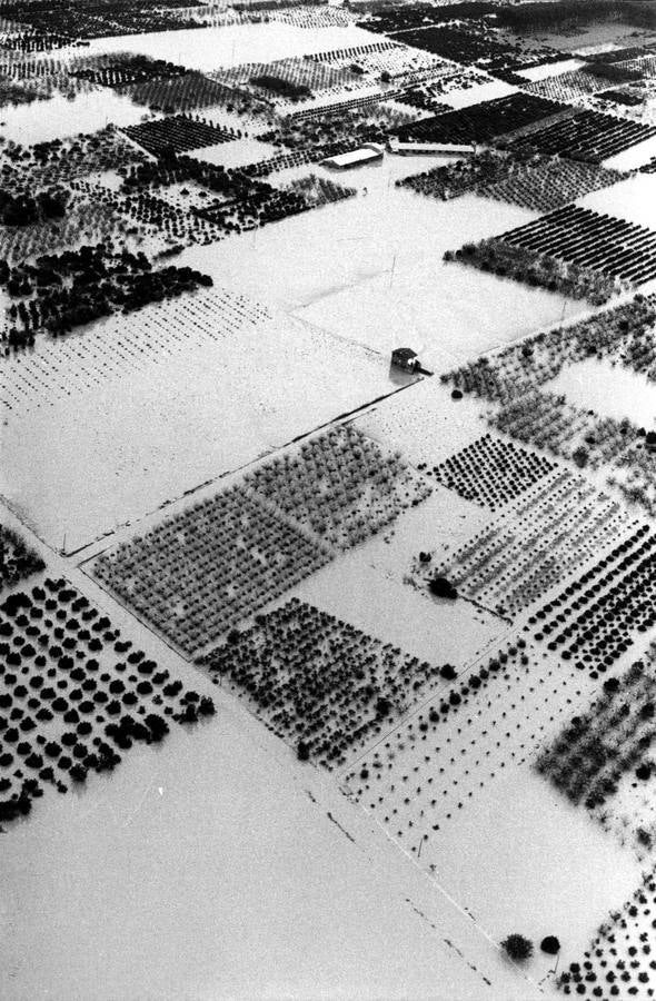 Fotos de la pantanada de Tous de 1982