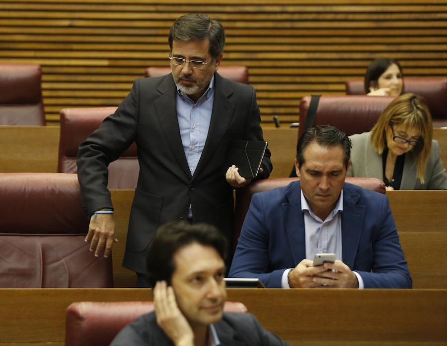 Fotos del pleno de les Corts