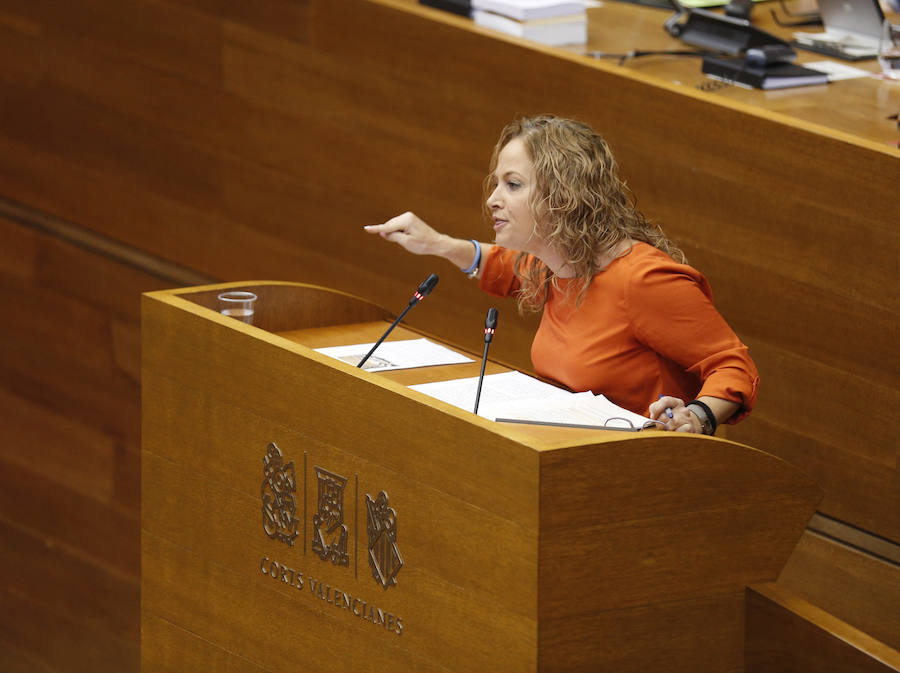 Fotos del pleno de les Corts