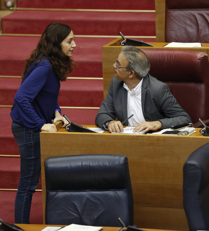 Fotos del pleno de les Corts