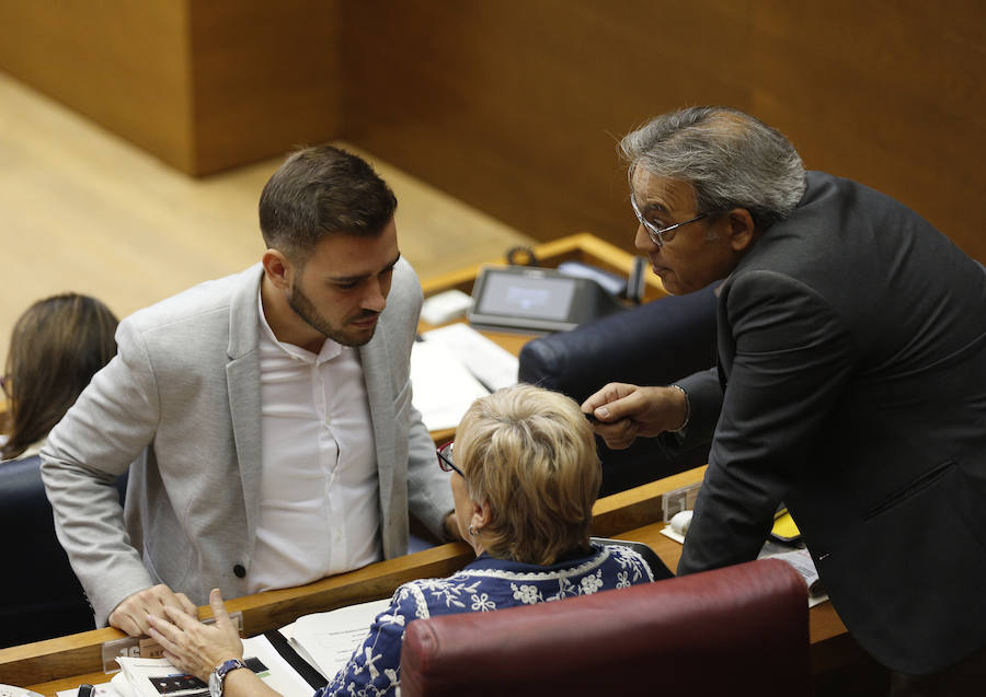 Fotos del pleno de les Corts