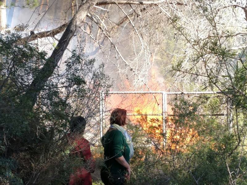 Fotos del incendio de Alcalalí