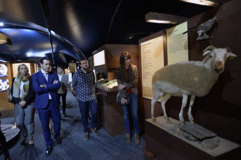 Exposición de La Caixa sobre los bosques