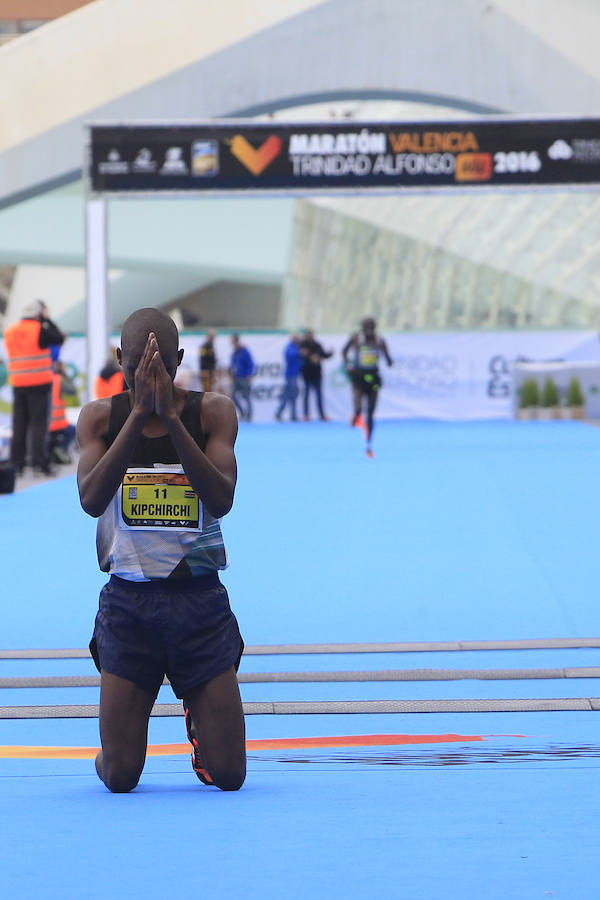 Fotos del Maratón de Valencia 2016 (V)