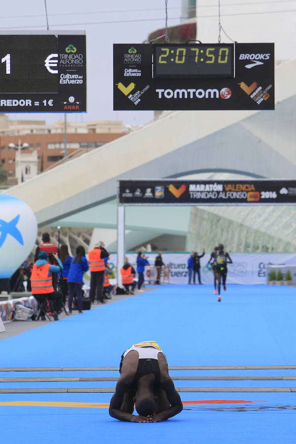 Fotos del Maratón de Valencia 2016 (V)