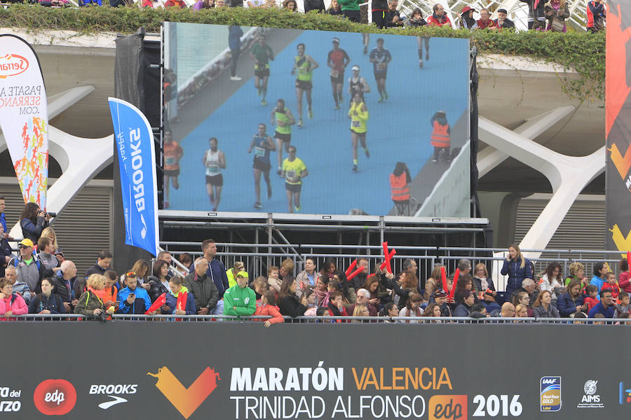 Fotos del Maratón de Valencia 2016 (V)