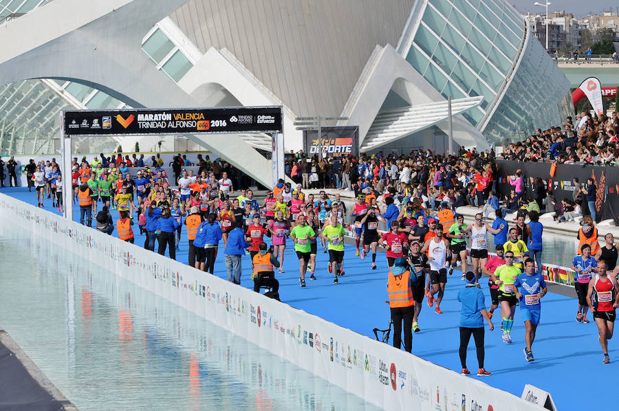 Fotos del Maratón Valencia (VII)