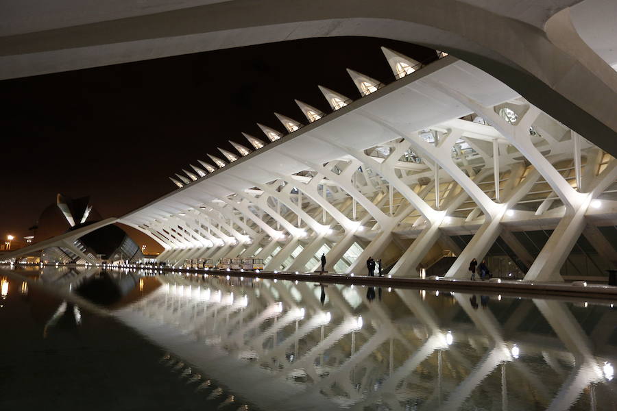 2. Museo de la Ciencias Príncipe Felipe. 