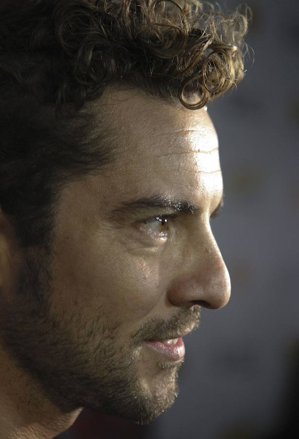 Fotos de David Bisbal