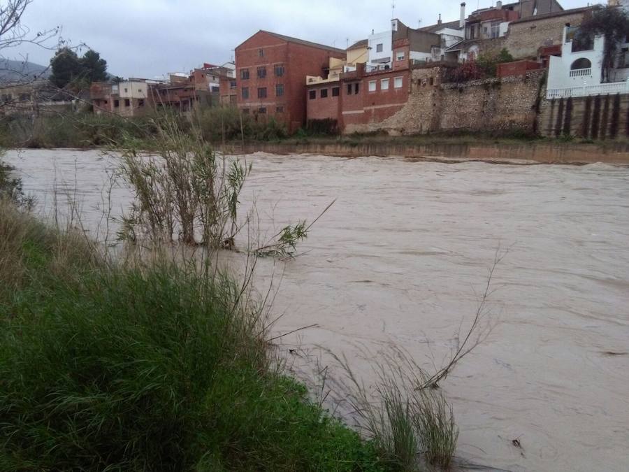 Río Serpis a su paso por Almoines.