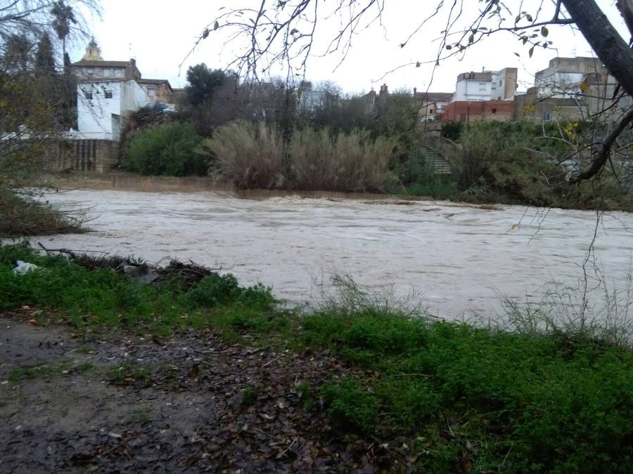 Río Serpis a su paso por Almoines.