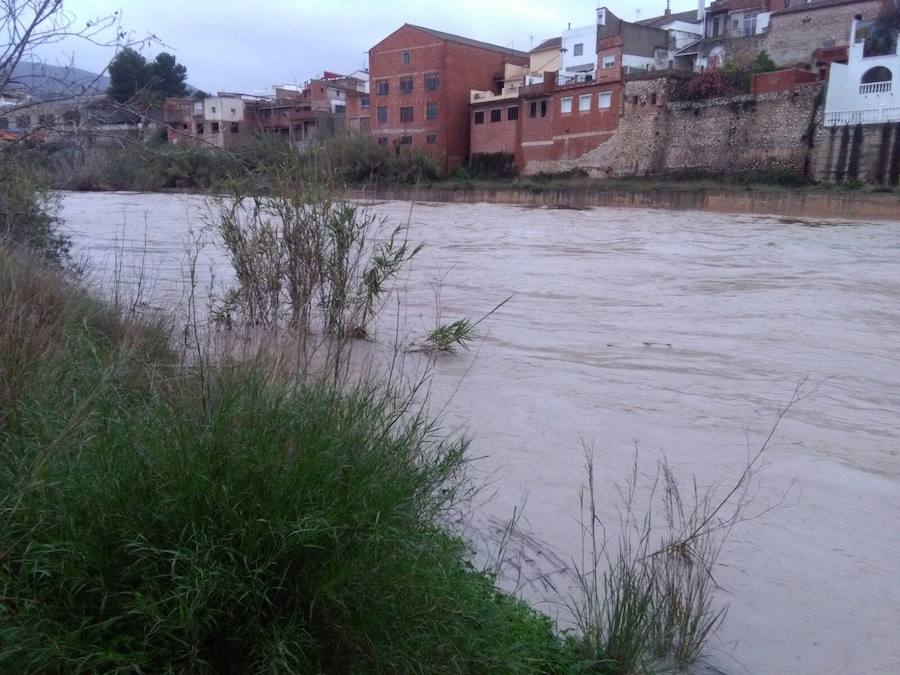 Río Serpis a su paso por Almoines.