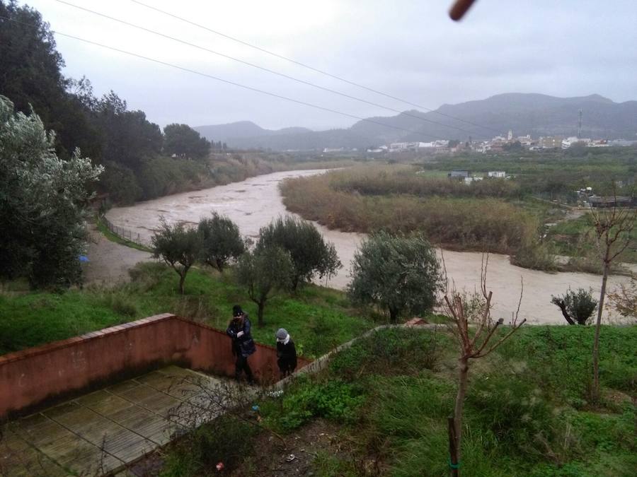 Río Serpis a su paso por Almoines.