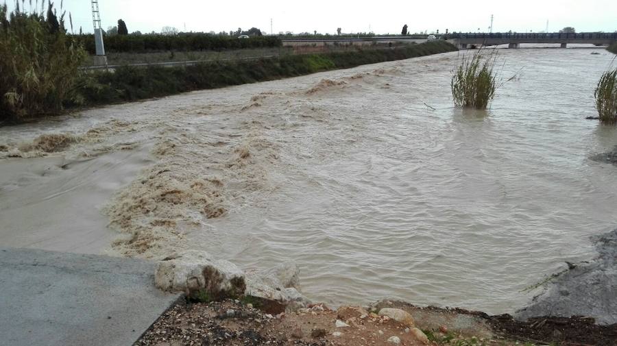 Río Gallinera a su paso por Oliva.