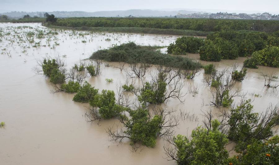 Fotos de los campos inundados en Alberic