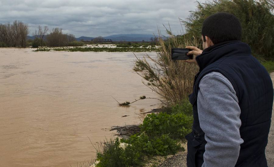 Fotos de los campos inundados en Alberic