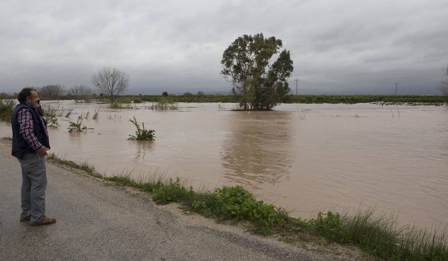 Fotos de los campos inundados en Alberic