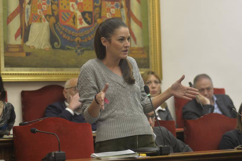 Imágenes del pleno del Ayuntamiento de Elche