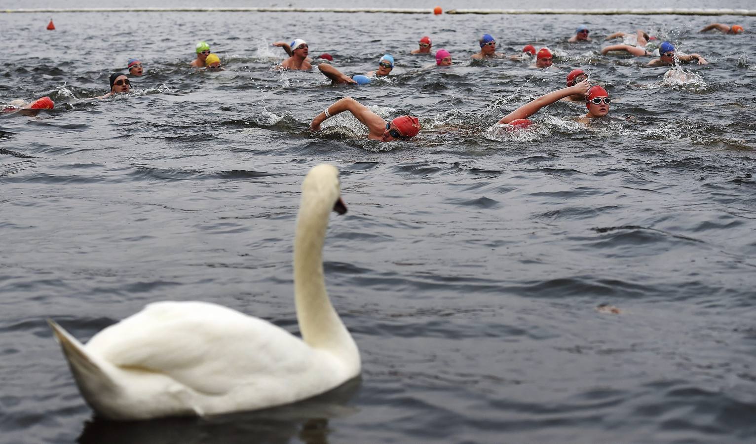 Nadadores que participan en la tradicional Copa de natación de Peter Pan en el lago de Serpentine de Hyde Park en Londres, Reino Unido hoy 25 de diciembre de 2016. La copa, una tradición que se remonta a 1864, se disputa en cien metros con unas temperaturas muy bajas, este año a cuatro grados. / EFE / Andy Rain