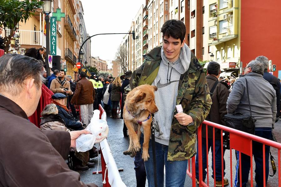 Fotos de la bendición de animales en Valencia durante la procesión de San Antonio Abad