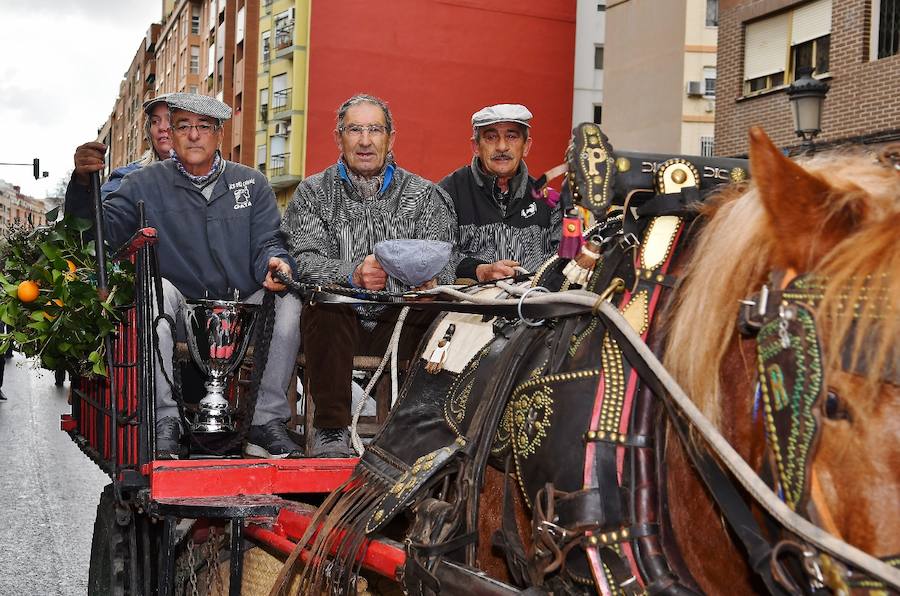 Fotos de la bendición de animales en Valencia durante la procesión de San Antonio Abad