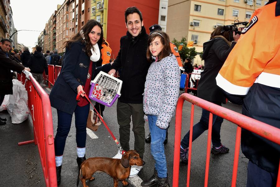 Fotos de la bendición de animales en Valencia durante la procesión de San Antonio Abad