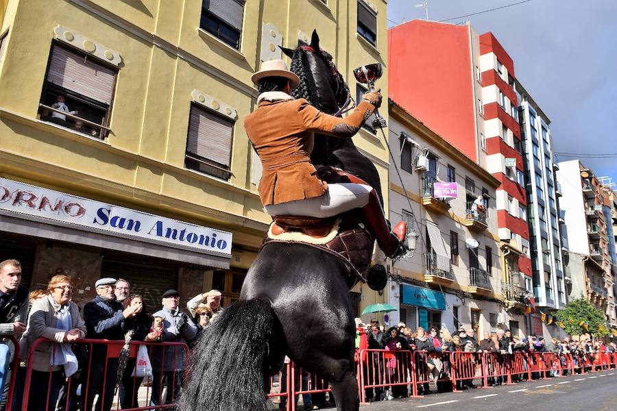 Fotos de la bendición de animales en Valencia durante la procesión de San Antonio Abad