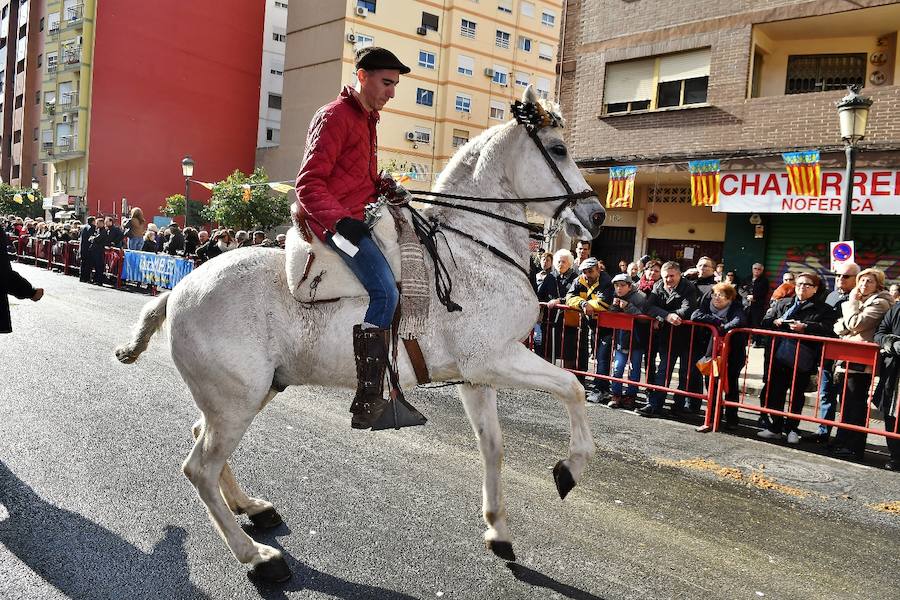 Fotos de la bendición de animales en Valencia durante la procesión de San Antonio Abad