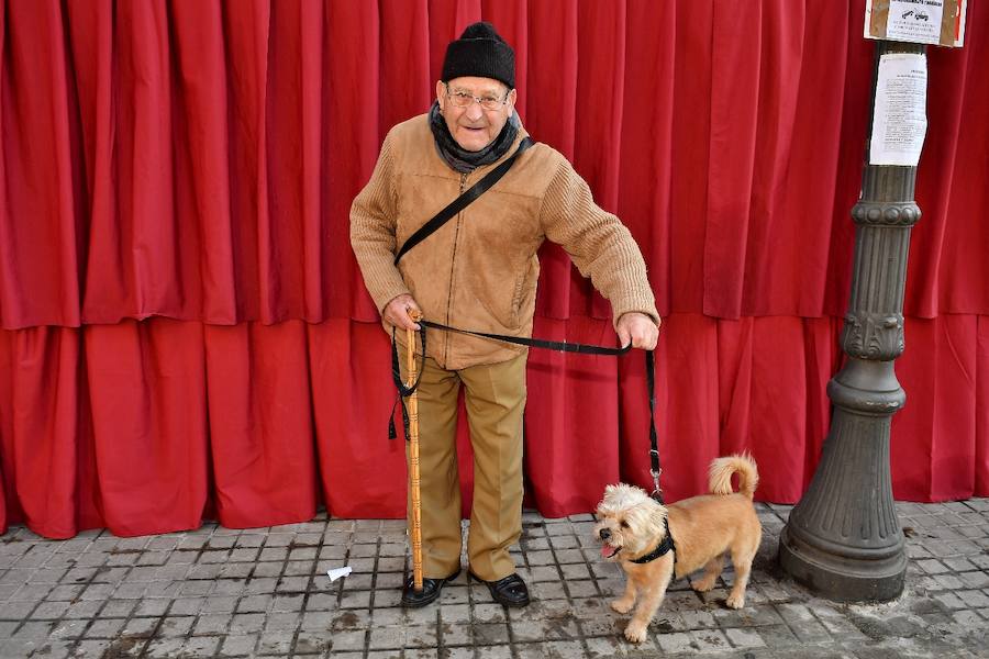 Fotos de la bendición de animales en Valencia durante la procesión de San Antonio Abad