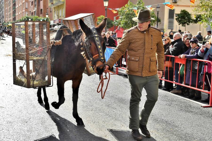 Fotos de la bendición de animales en Valencia durante la procesión de San Antonio Abad