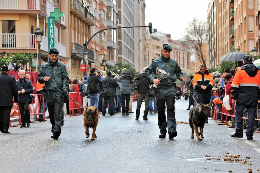 Fotos de la bendición de animales en Valencia durante la procesión de San Antonio Abad