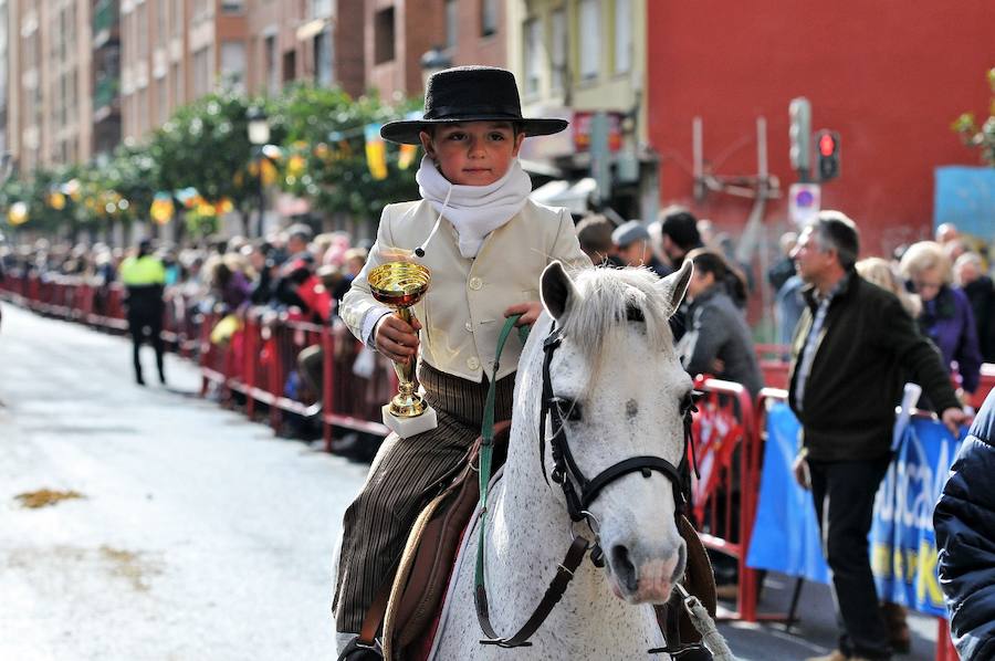 Fotos de la bendición de animales en Valencia durante la procesión de San Antonio Abad