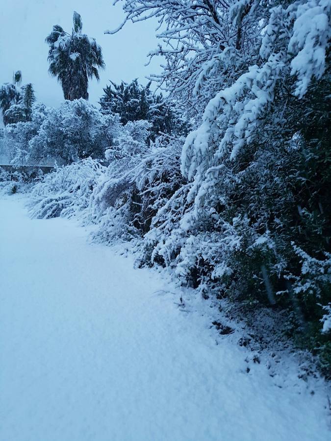 Fotos de la nevada en Orba