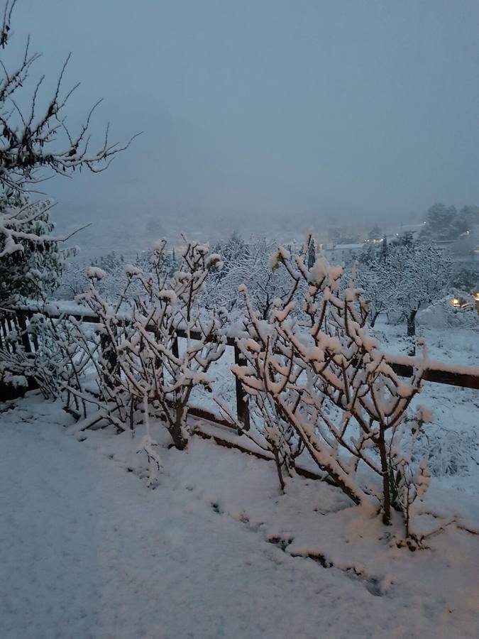 Fotos de la nevada en Orba