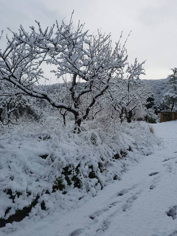 Fotos de la nevada en Orba