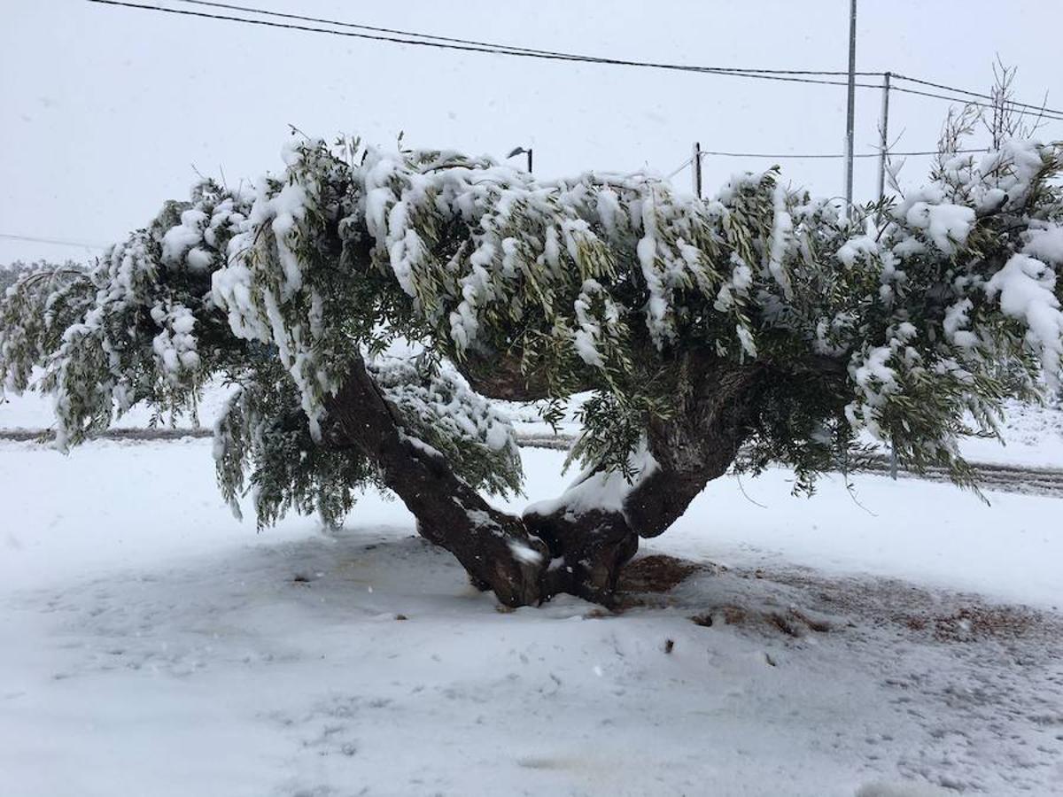 Carreteras con nieve en la Comunitat por el temporal de frío