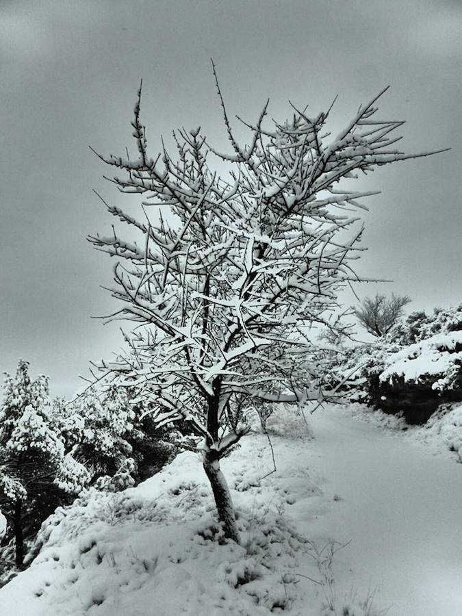 Fotos de la nieve en el interior de la provincia de Valencia