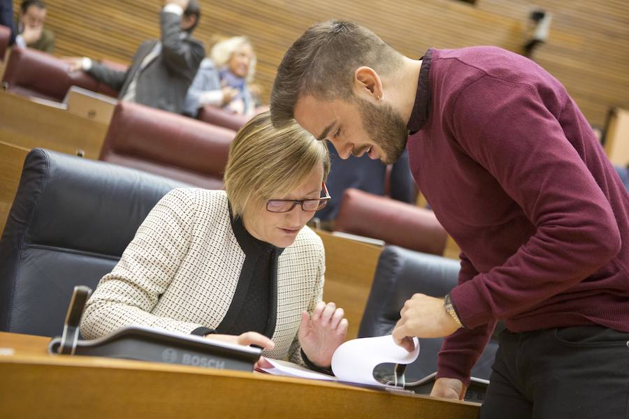 Fotos del pleno de Les Corts