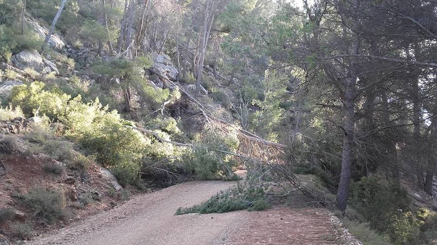 Situación límite en la reserva de Valdeserrillas