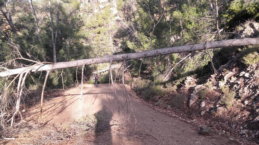 Situación límite en la reserva de Valdeserrillas